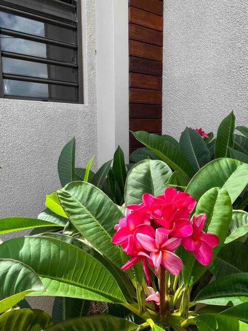 Case Al Mare Calodyne Exterior foto